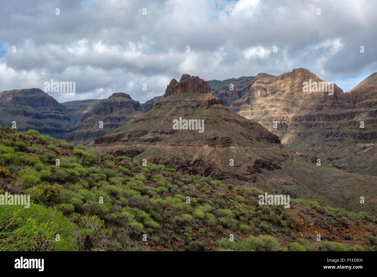 Blick auf den Barranco de los Vicentes, Gran Canaria, Kanarische Inseln, Spanien Stockfoto