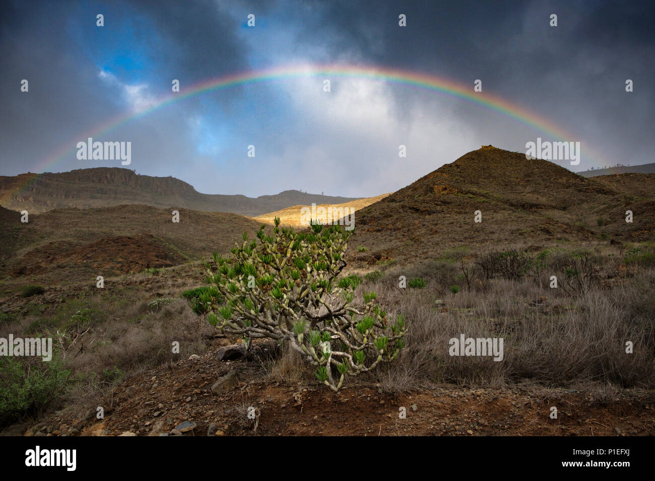 Rainbow, Gran Canaria, Kanarische Inseln, Spanien Stockfoto