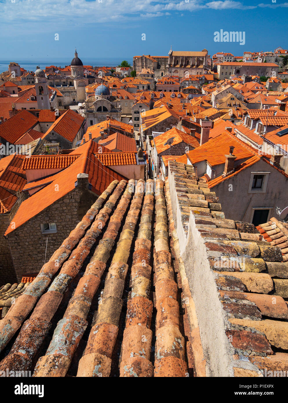 Blick über die Dächer von Dubrovnik, Juni 2018 Stockfoto