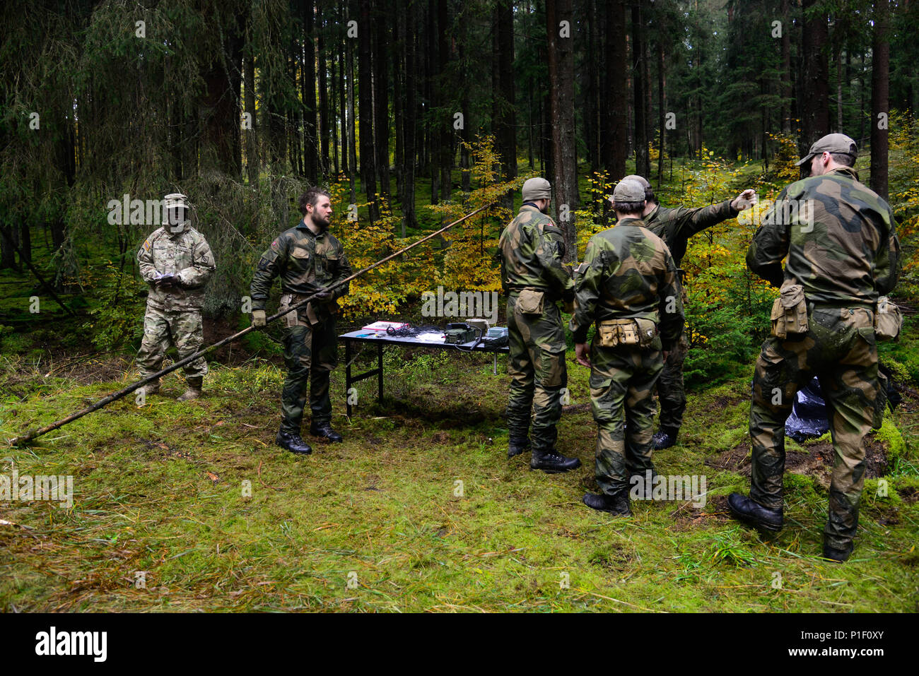 Us-Armee Sgt. Stephen Domfe (links), an der 2.-Signal Brigade zugeordnet, 5 Signal, grade Norwegische Soldaten bauen ein Feld sinnvoll Antenne als Teil der europäischen Best Sniper Squad Wettbewerb an der 7. Armee den Befehl, Grafenwöhr Training Area, Bayern, Deutschland, Okt. 25, 2016. Die Europäische beste Sniper Squad-Wettbewerb ist eine Armee Europa Konkurrenz, anspruchsvolle Militärs aus ganz Europa zu konkurrieren und die Zusammenarbeit mit Verbündeten und Partner Nationen verbessern. (U.S. Armee Foto von SPC. Emily Houdershieldt) Stockfoto