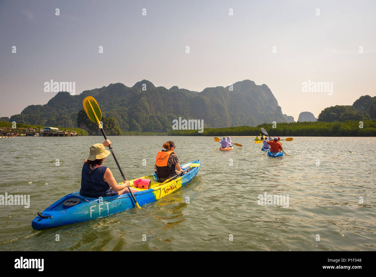 Kajak in Mangrove Dschungel von Krabi, Thailand Stockfoto