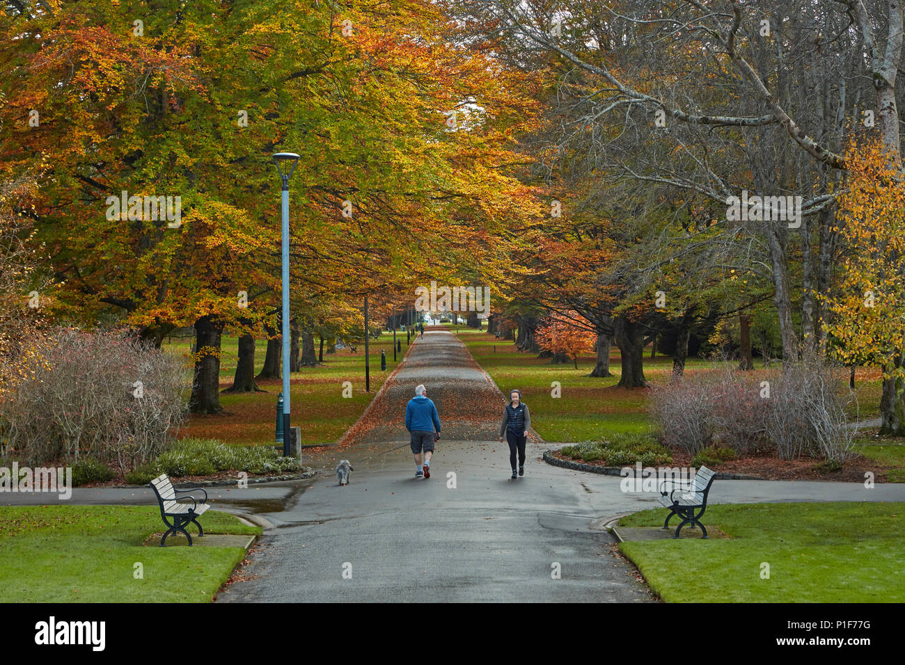 Queens Park im Herbst, Invercargill, Southland, Südinsel, Neuseeland Stockfoto