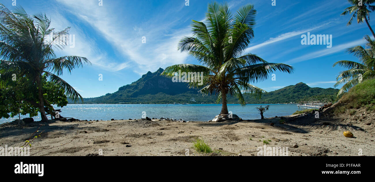 Palmen gesäumten Strände von Bora Bora auf MS Paul Gauguin Kreuzfahrt. Stockfoto