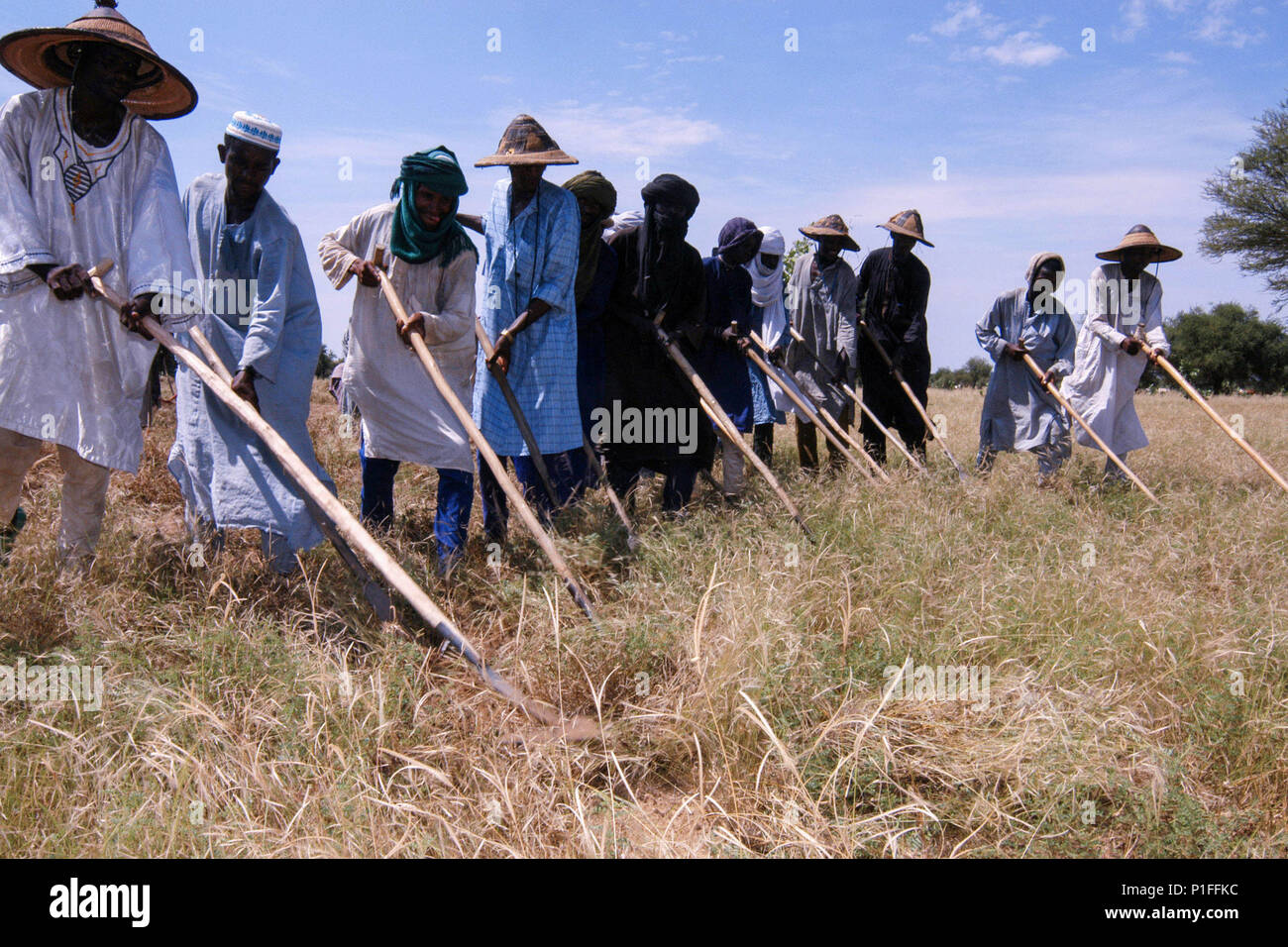 Die ländliche Gemeinschaft ein Feuer in der heißen Sommersonne in Niger, Afrika Stockfoto