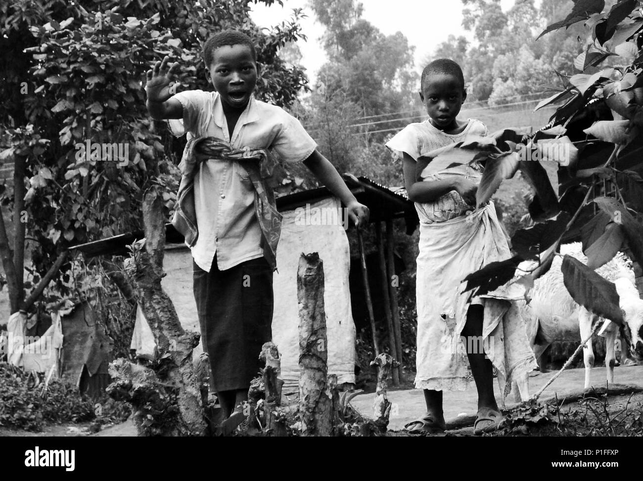 Der kongolesischen Kinder spielen in ihrem Dorf. Stockfoto