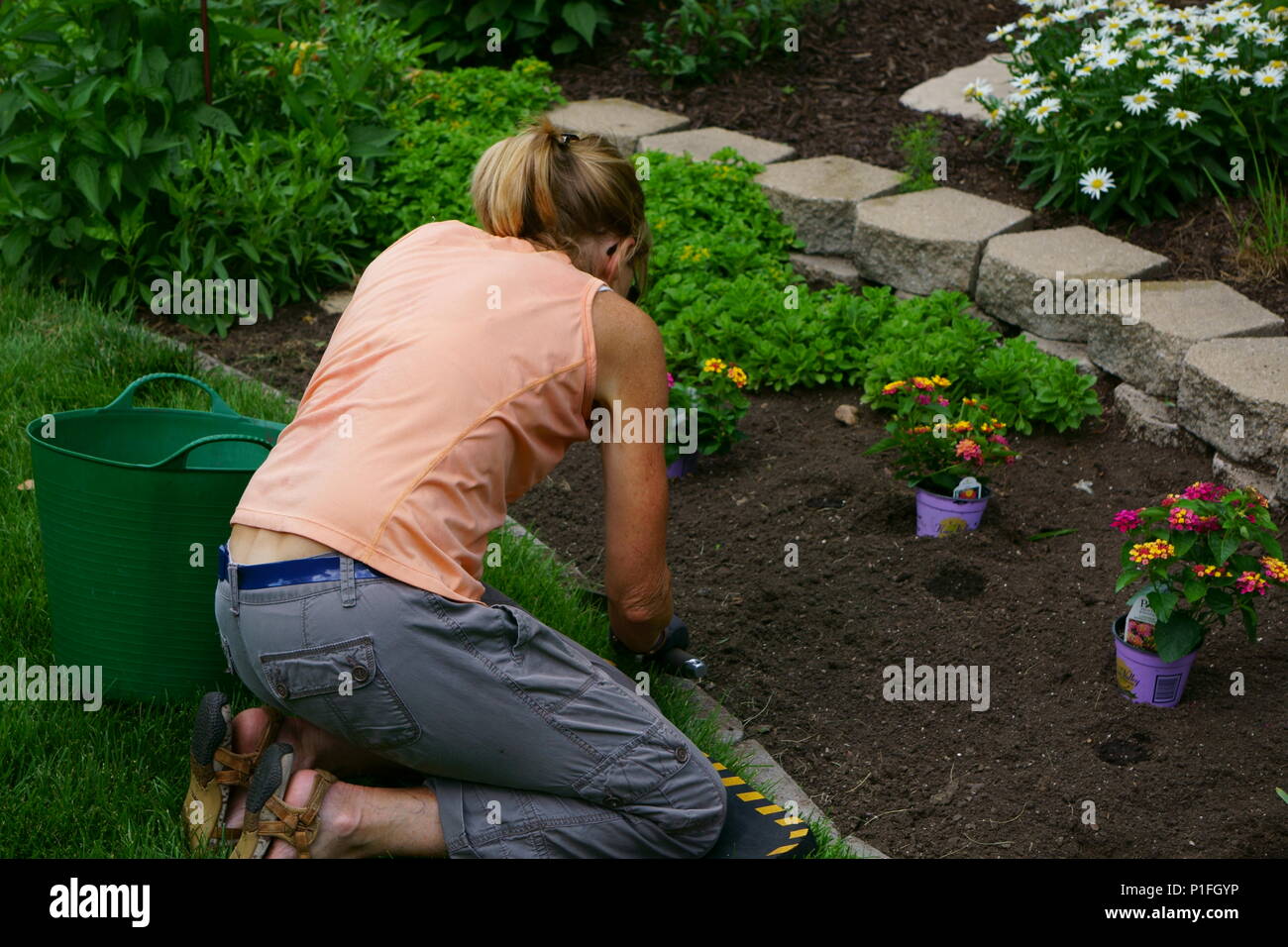 Frau Blumen Pflanzen im Frühjahr Stockfoto