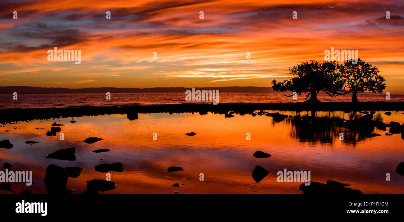 Silhouette und Reflexion von zwei Mangroven während einer farbenfrohen Sonnenaufgang am niedrigen Punkt, Australien 2018 Stockfoto