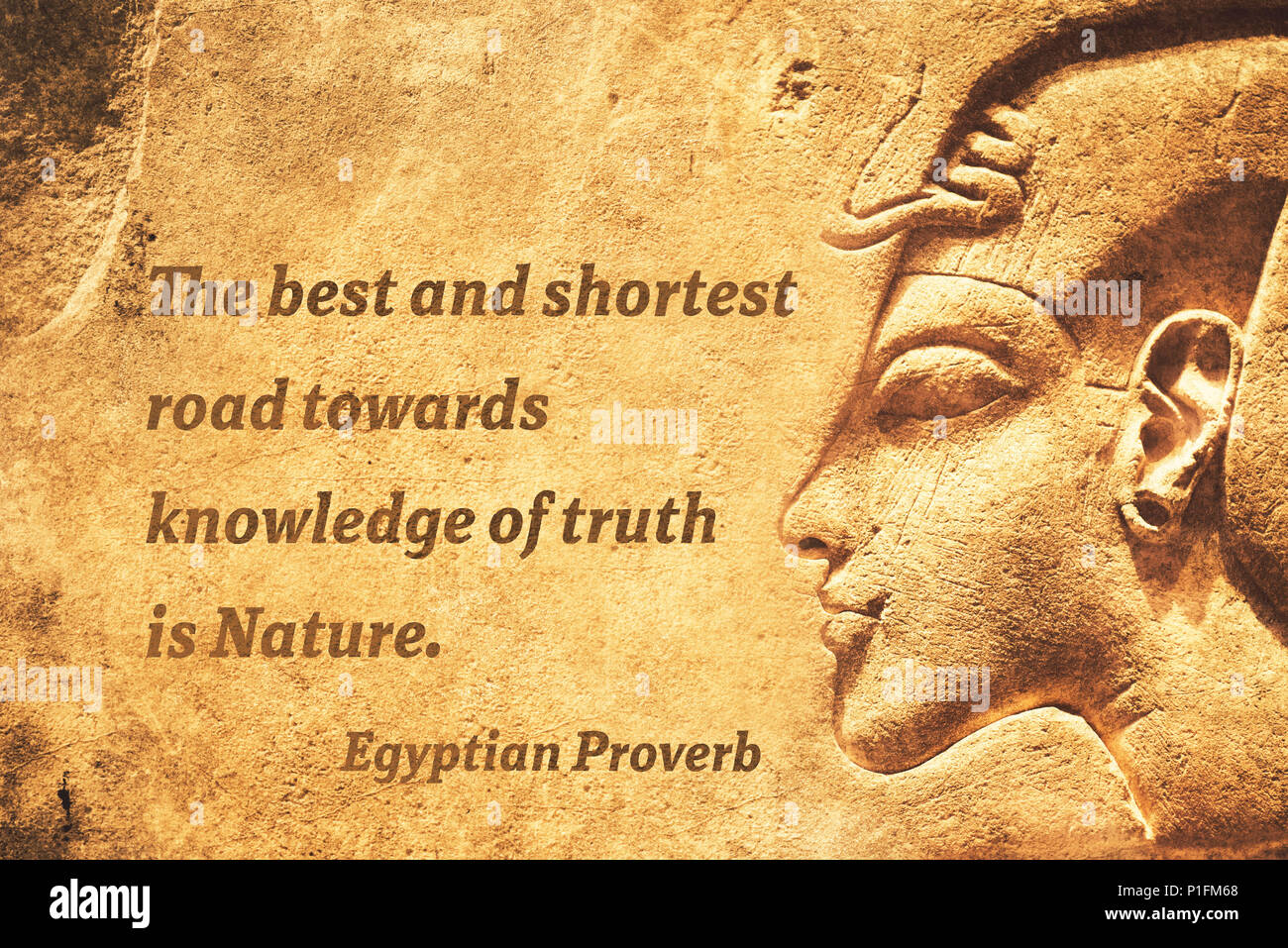 Der beste und kürzeste Weg zur Erkenntnis der Wahrheit ist Natur - alten ägyptischen Sprichwort Zitat Stockfoto