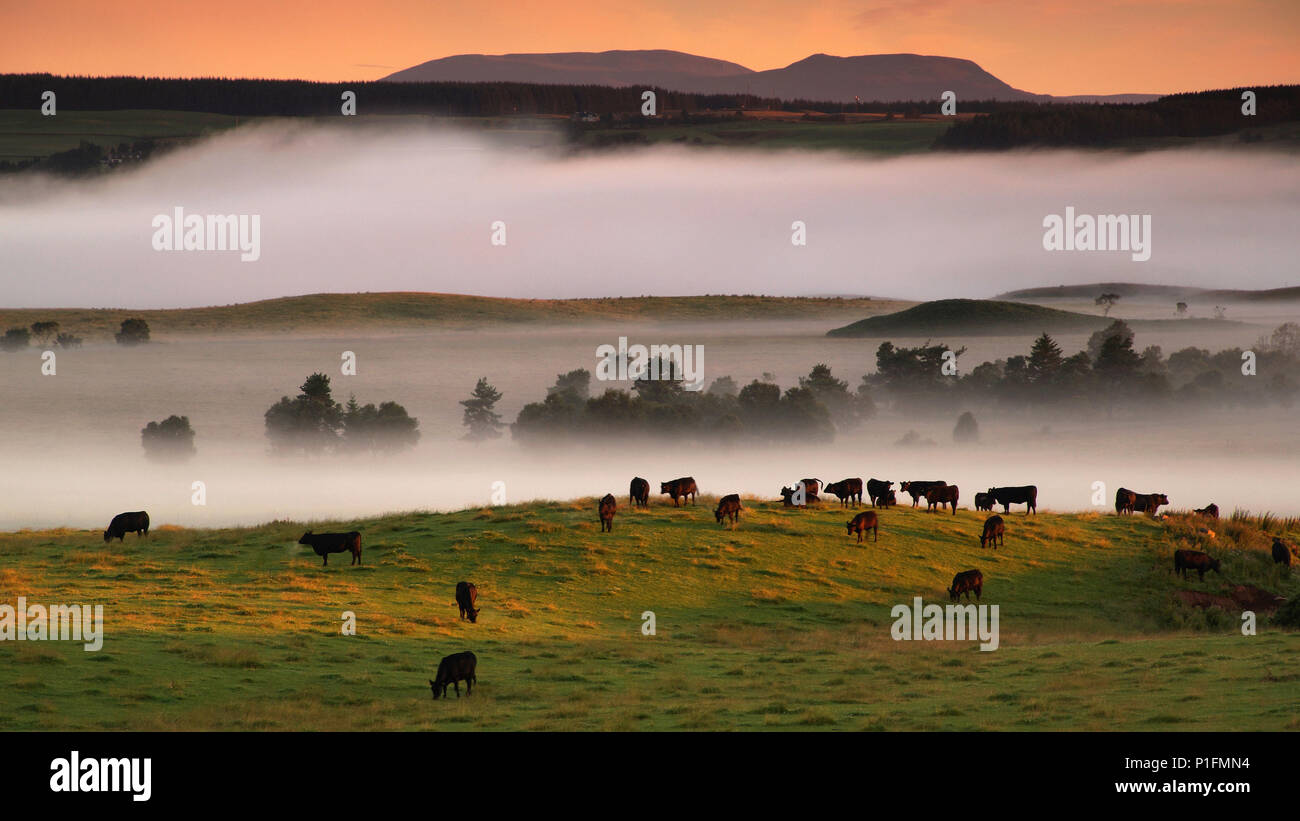 Europa, Schottland, Vereinigtes Königreich, England, der Landschaft, der CairnGorm Mountains, mountain Group, Nebel Stimmung,, Europa, Schottland, Grossbritannien, La Stockfoto