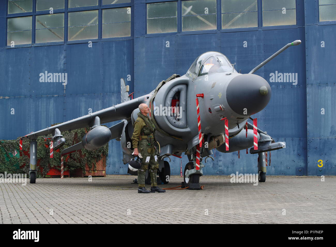 British Aerospace Sea Harrier FA.2 ZH796 bei RAF Cosford Stockfoto