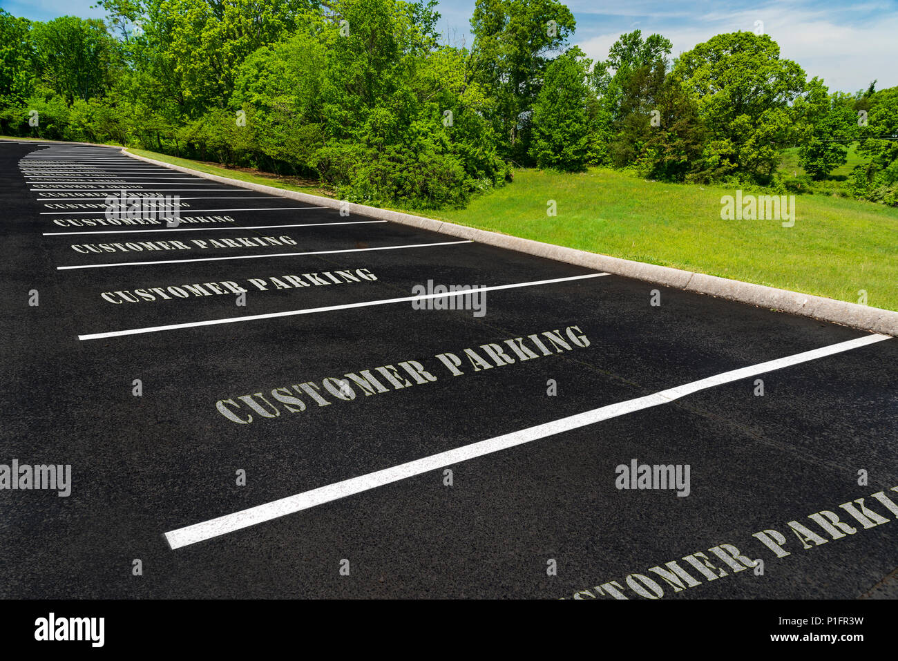 Horizontale geschossen von einer langen Reihe von leeren Kunden Parkplätze. Stockfoto