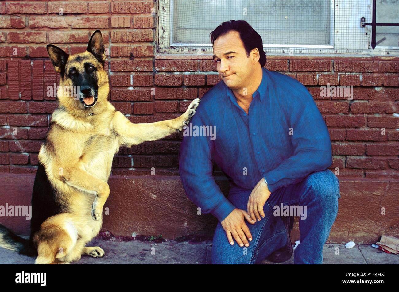 Original Filmtitel: EIN. Englischer Titel: EIN. Regisseur: ROD DANIEL. Jahr: 1989. Stars: JAMES BELUSHI. Quelle: UNIVERSAL PICTURES/Album Stockfoto