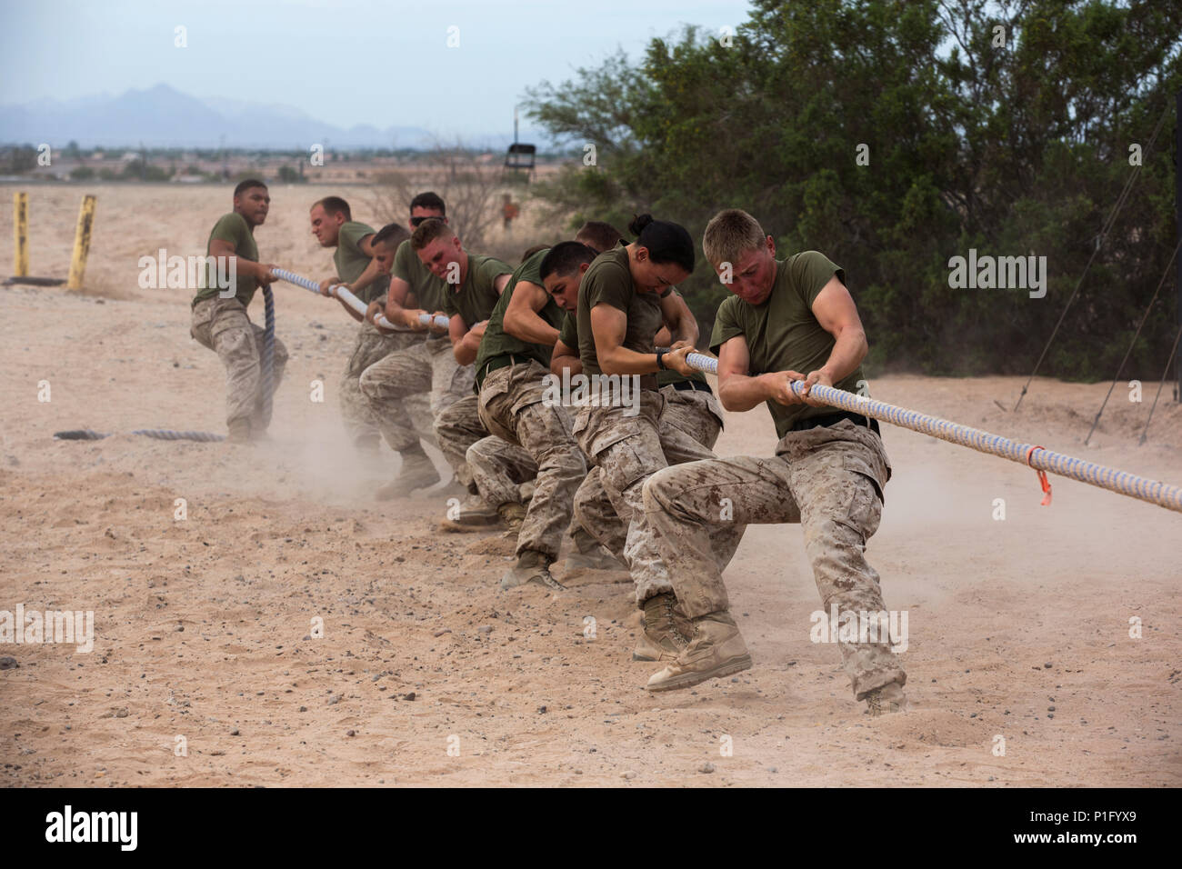 Us-Marines mit 8. Techniker Bataillon in einem Tauziehen teilnehmen - als Teil einer Gruppe, die Konkurrenz an der Kanone Flugabwehr Komplex, Yuma, Ariz., Okt. 24, 2016. Mannschaft Wettbewerbe geschehen unter jede Einheit in der Marine Corps Kameradschaft und Esprit de Corps zu errichten. (U.S. Marine Corps Foto von Lance Cpl. Christian Cachola/Freigegeben) Stockfoto