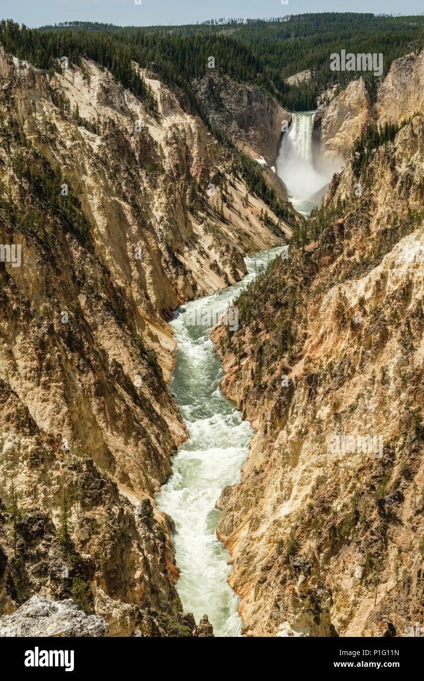 Grand Canyon des Yellowstone River mit niedrigeren fällt im Hintergrund Stockfoto