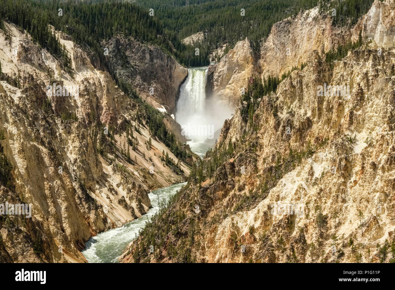 Grand Canyon des Yellowstone River mit niedrigeren fällt im Hintergrund Stockfoto