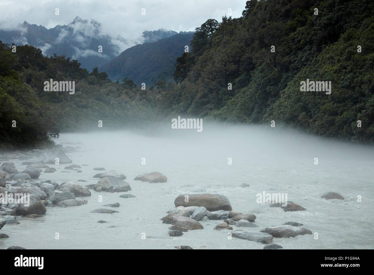 Nebel über Kochen, Fluss, in der Nähe der Fox Glacier, West Coast, South Island, Neuseeland Stockfoto