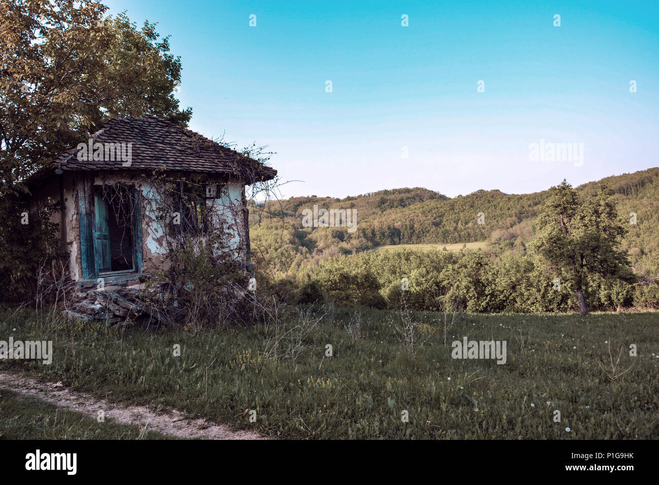 19. Jahrhundert altes Haus in den Wald aus Ton Fliesen, Ziegel und Schlamm. Letzte Besitzer starb im Jahr 1953. In der Mitte des Waldes, ohne Eigentümer. Stockfoto
