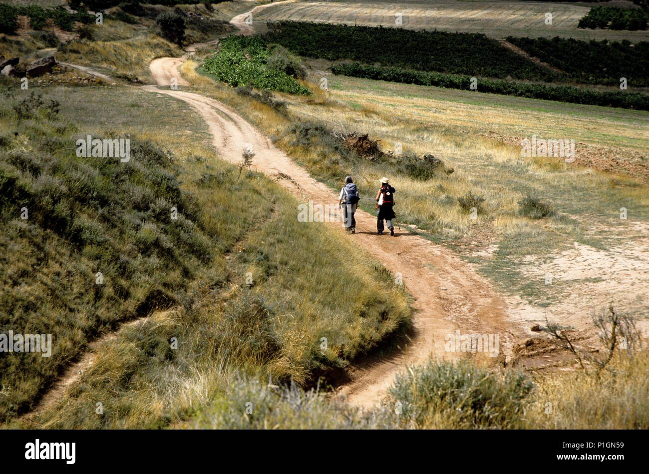 Camino de Santiago entre Navarrete y Nájera cerca Poyo Roldán; peregrinos. Stockfoto