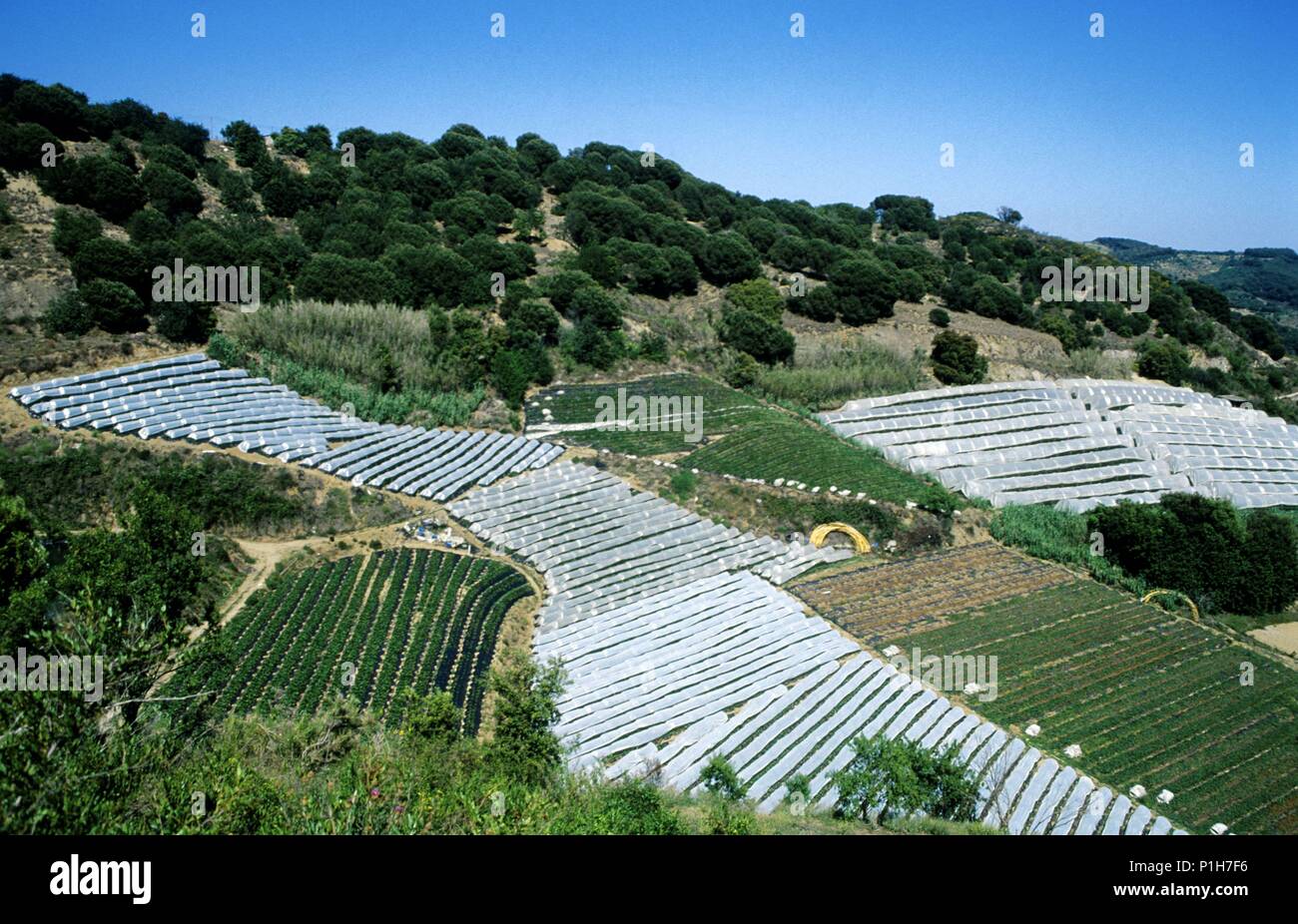 Spanien - Katalonien - Costa del Maresme (Kreis) - Barcelona. Arenys De Munt, paisaje Agrícola, invernaderos, Sierra del Montnegre. Stockfoto