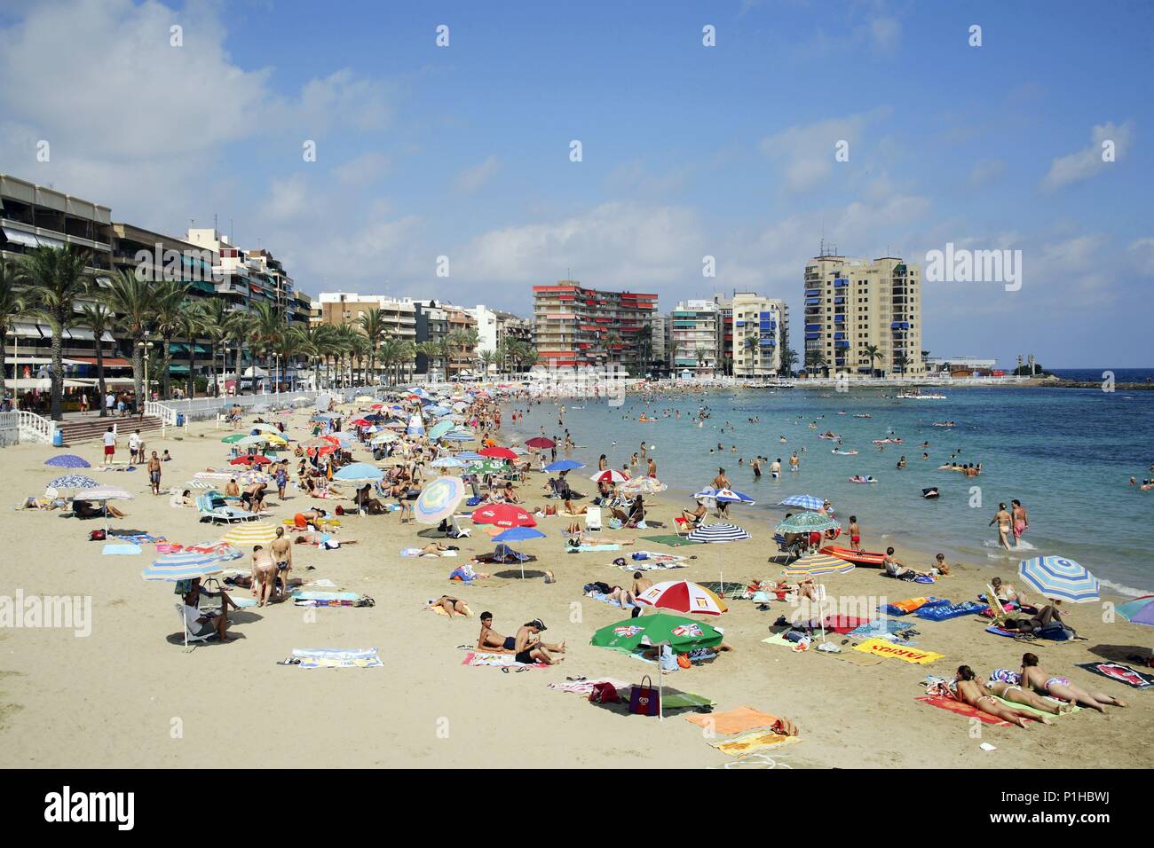 Spanien - Valencia autonome Region - Baix Segura (Kreis) - Alicante. Torrevieja, Playa del Cura. Stockfoto