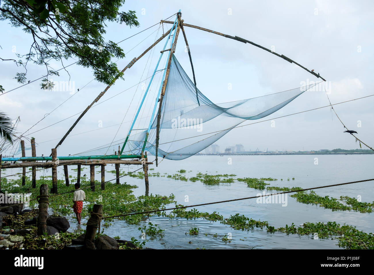 Ein Mann steht durch die chinesischen Fischernetze ("cheena Vala') in Fort Kochi, Kochi, Kerala, Südindien. Stockfoto