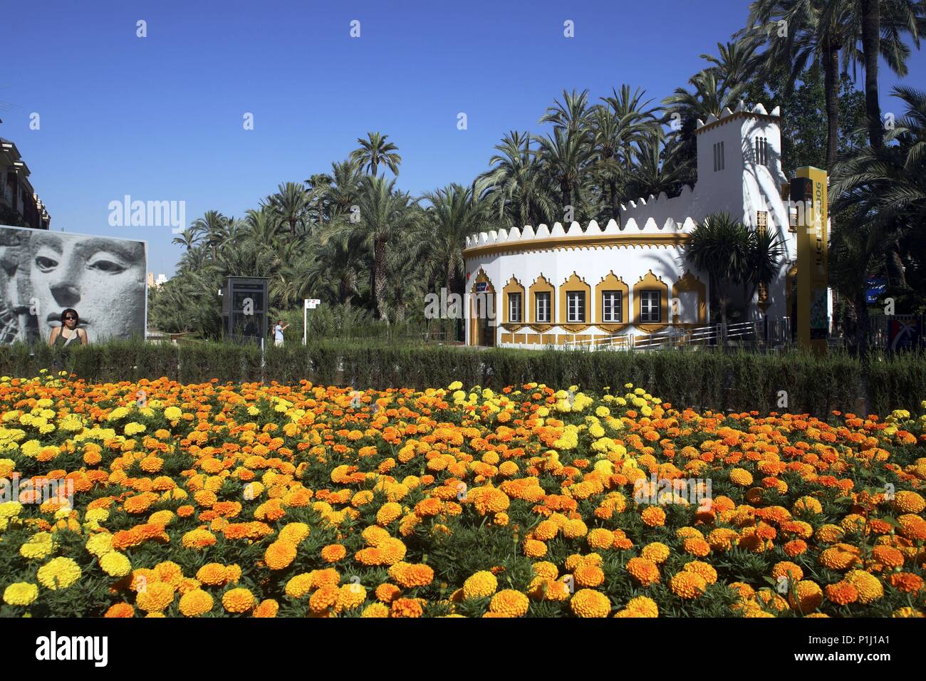 Spanien - Valencia autonome Region - Baix Vinalopó (Kreis) - Alicante. Elx/Elche; entrada al Parque Municipal y su palmeral. Stockfoto