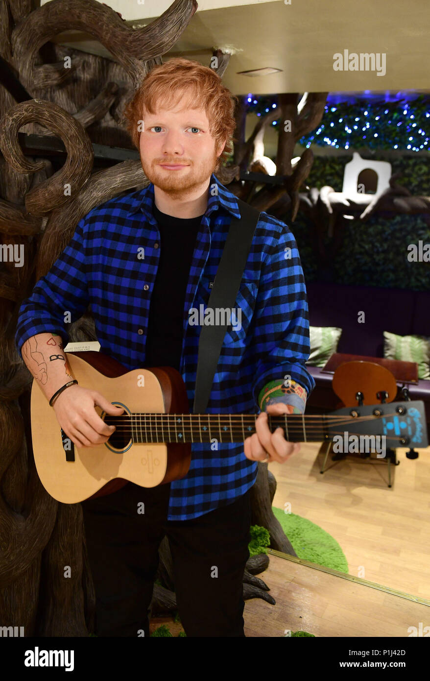 Die Neue Madame Tussauds Abbildung Von Ed Sheeran An Lady Dinah Cat Emporium In London Vorgestellt Stockfotografie Alamy