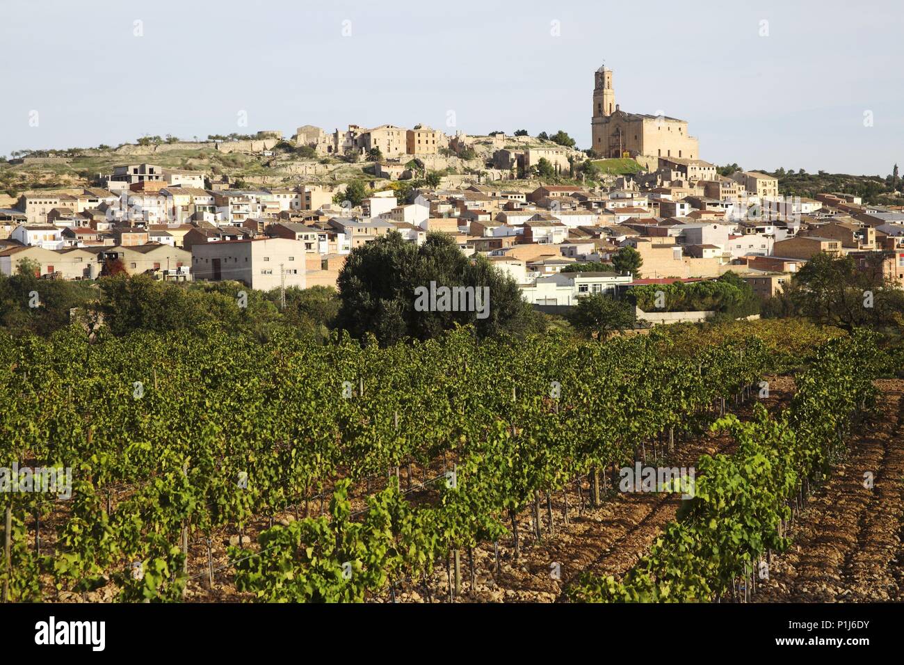 Spanien - Katalonien - Terra Alta (Bezirk) - TARRAGONA. Corbera d'Ebre; Vista Del Poble Nou (AVALL) ich Poble Vell (a Dalt) / Vista del Pueblo Nuevo (abajo) y Pueblo Viejo (destruido por Guerra Civil) - Arriba. Stockfoto