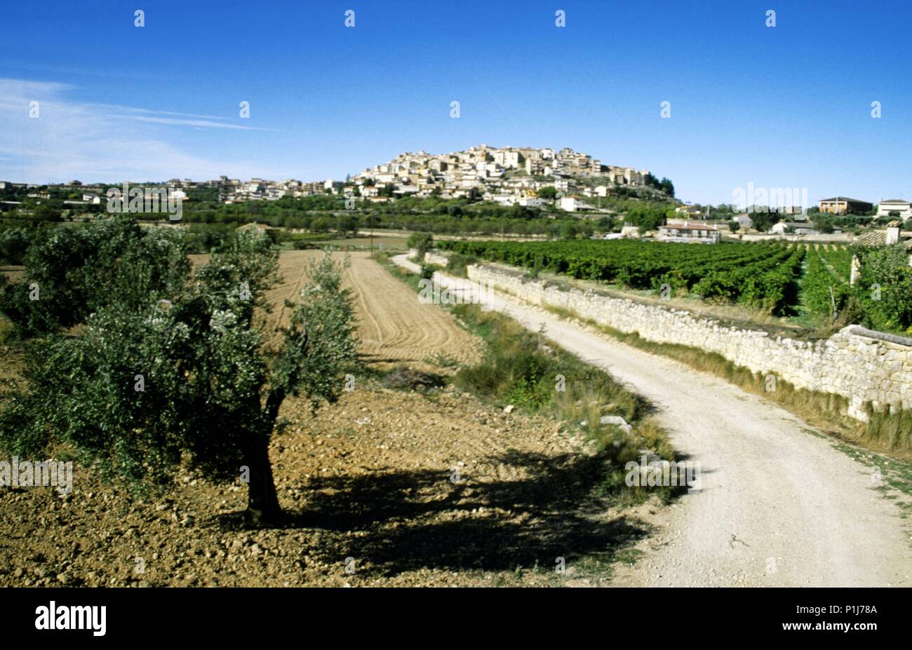 Spanien - Katalonien - Terra Alta (Bezirk) - TARRAGONA. Horta de Sant Joan; Vista del Pueblo con Olivares y viñedos (D.O. Terra Alta). Stockfoto