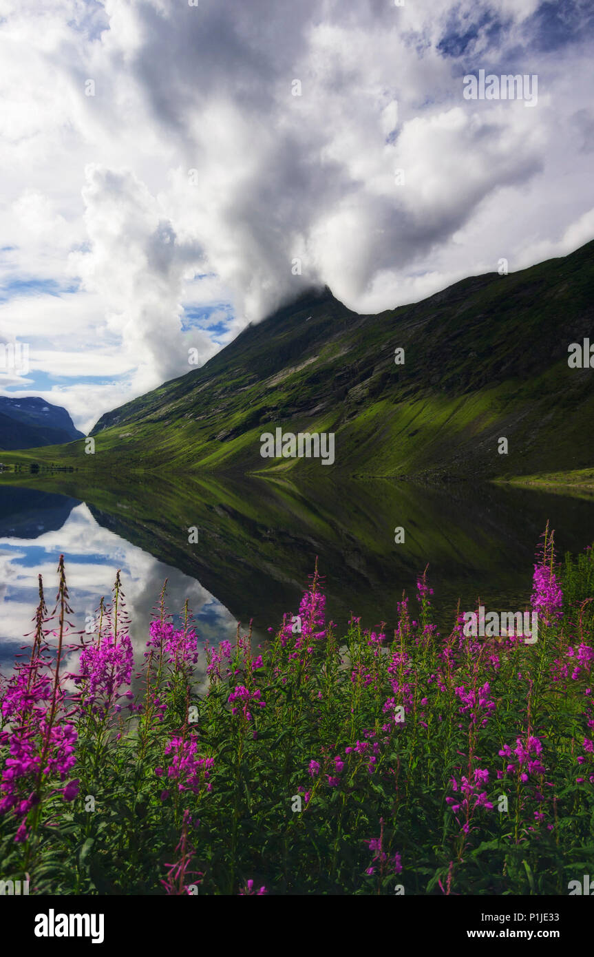 Sommer am See, Stord Stord, Hardanger, Norwegen Stockfoto