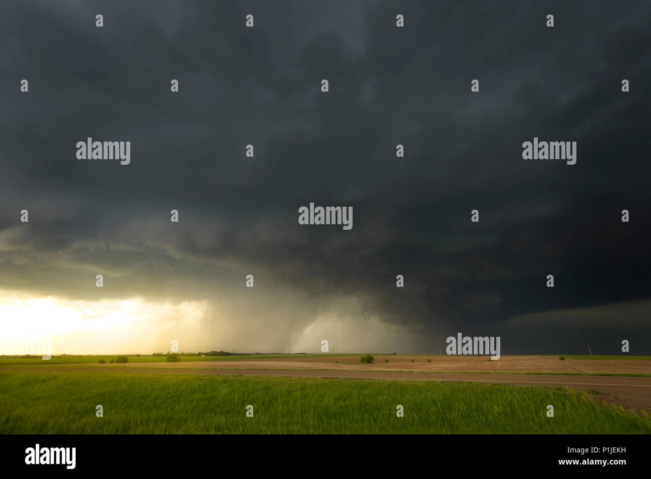 Supercell mit wallcloud und hinten flank Downdraft (RFD) oberhalb der Felder von Kansas, USA Stockfoto