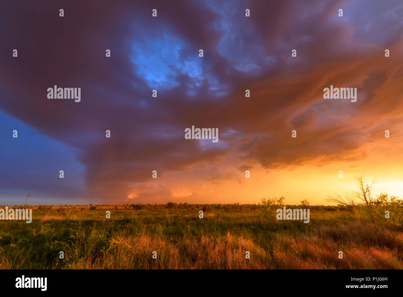 Undulatus Wolken bei Sonnenuntergang in Texas, USA Stockfoto