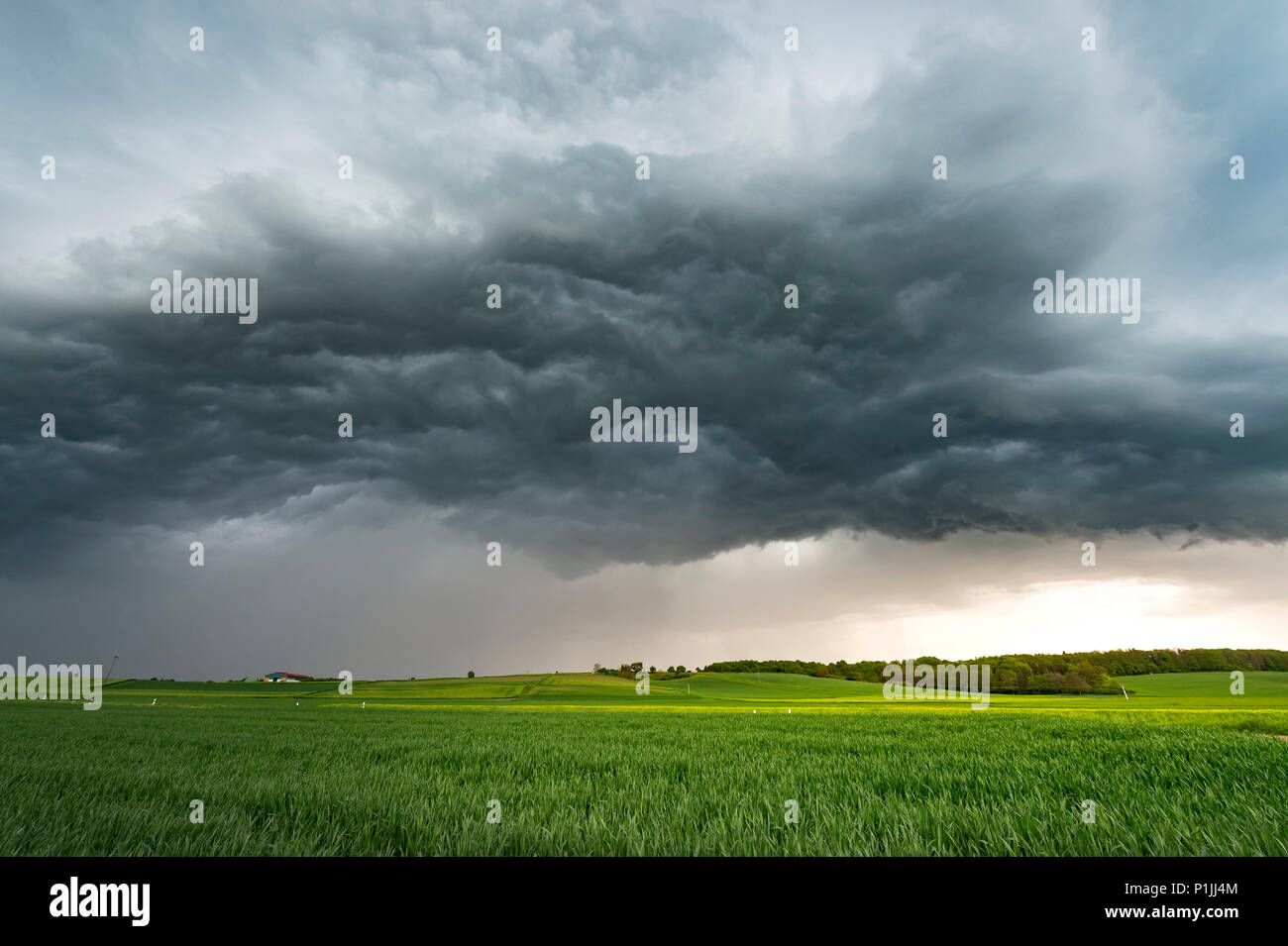Turbulente Wolken (der Wal Mund) unter einem shelfcloud in der Nähe von Lich, Hessen, Deutschland Stockfoto