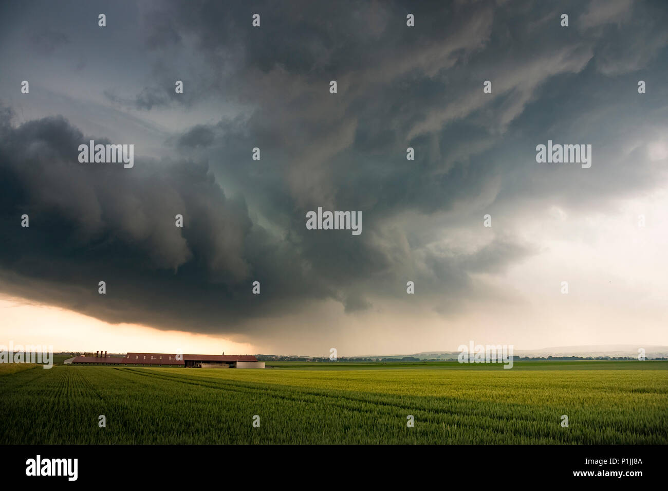 Rückseite einer dynamischen Gewitter in der Nähe von Inheiden, Hessen, Deutschland Stockfoto