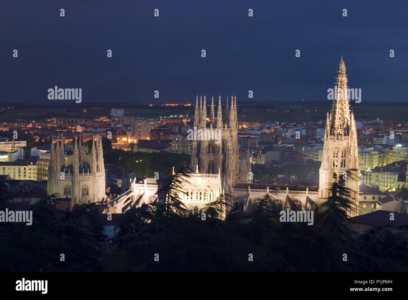 Vista a la Ciudad y Catedral iluminada desde Cerro de San Miguel. Stockfoto