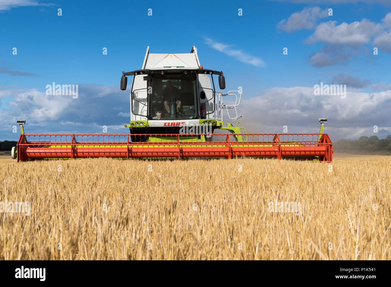 Die Kombination von Gerste mit einem Claas Lexikon 760 kombinieren und einen 35-Fuß-Schneidwerk, mit montierten Kameras für bessere Sicht für den Fahrer. North Yorkshire, UK. Stockfoto