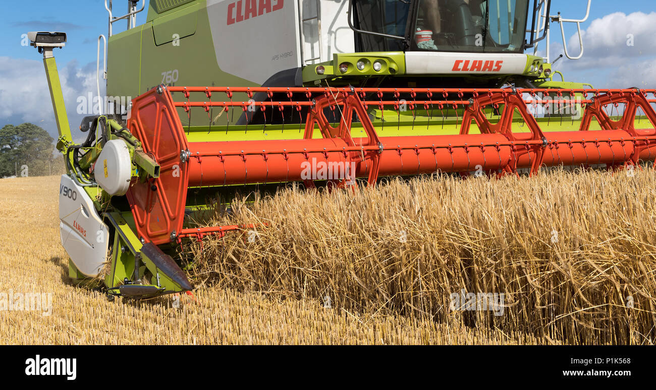 Nahaufnahme eines Claas V900 35 ft Vereinen mit angeschlossenen Kameras, bei der Arbeit, Ernte von Gerste. North Yorkshire, UK. Stockfoto