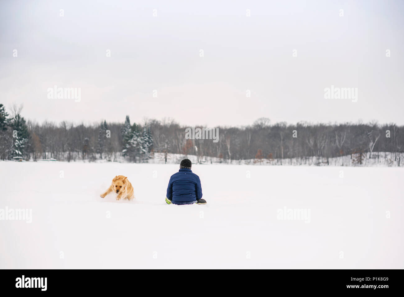 Mensch und Hund im Schnee spielen Stockfoto