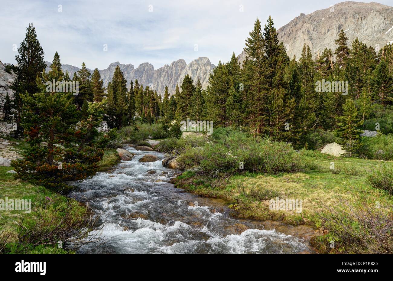 Rock Creek fließt durch das Mitre Basin, Sequoia National Park, Kalifornien, USA Stockfoto