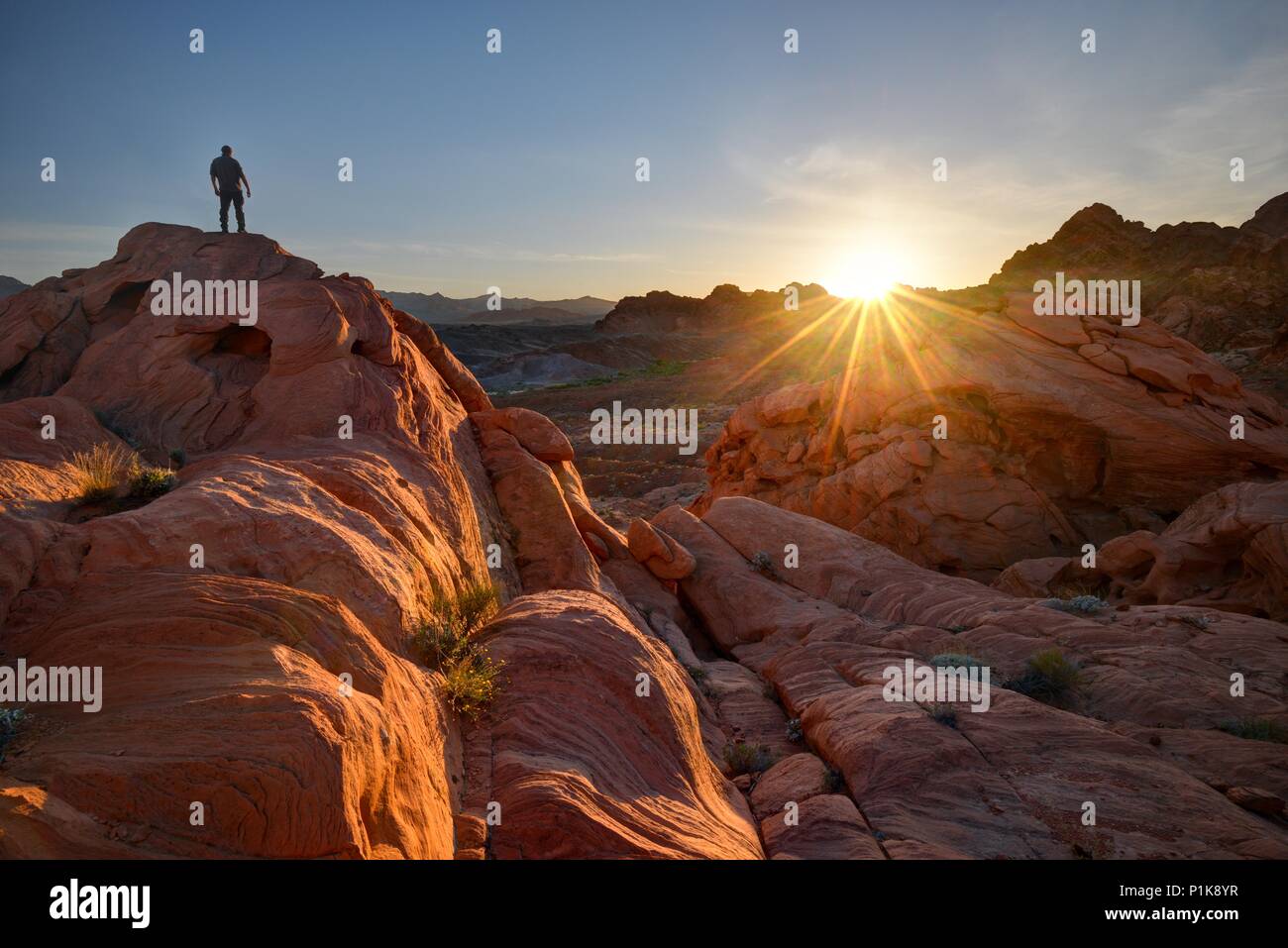 Mann auf Felsen stehend, Valley of Fire State Park, Nevada, USA Stockfoto