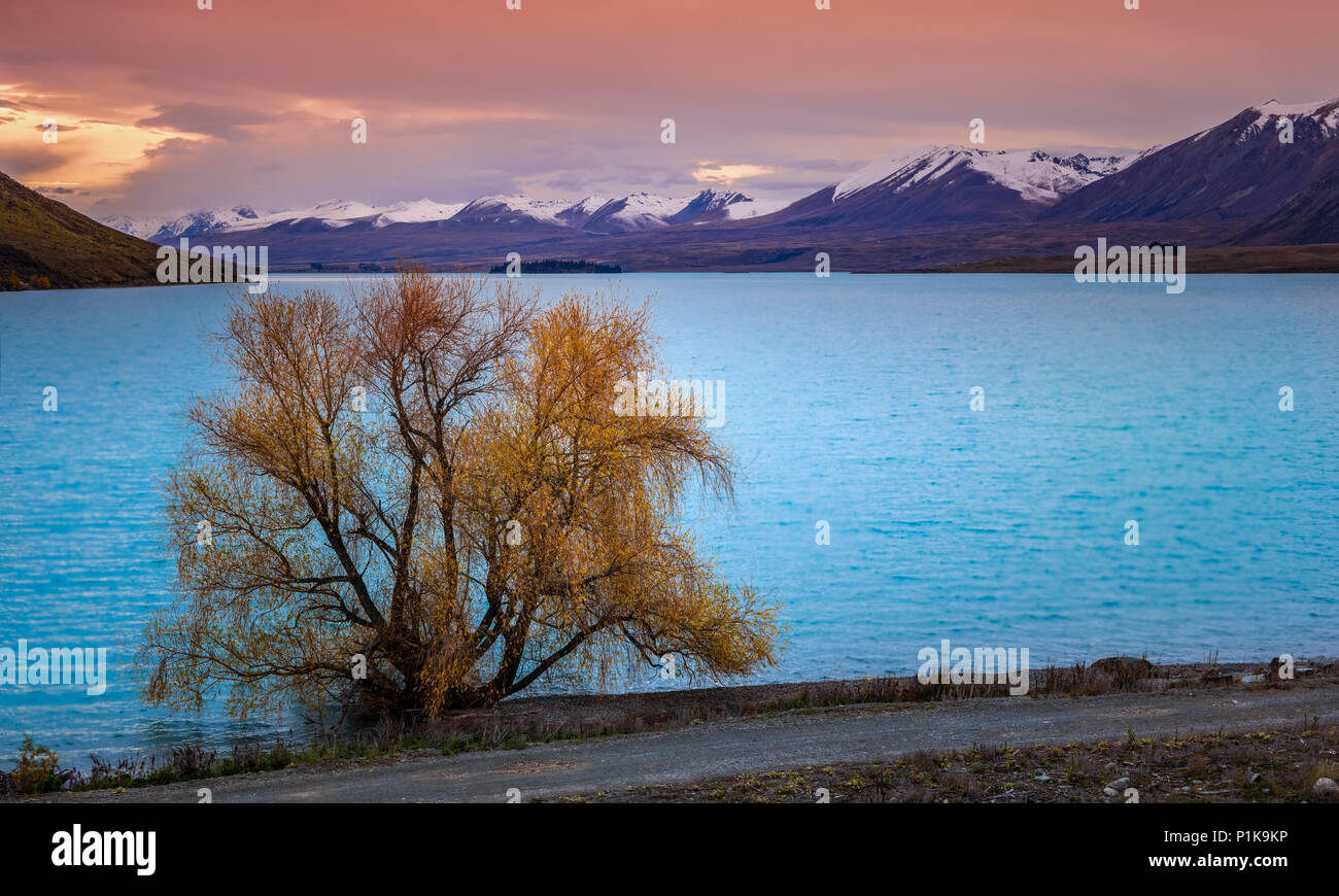 Sonnenuntergang über den Lake Tekapo und schneebedeckte Berge, Südinsel, Neuseeland Stockfoto
