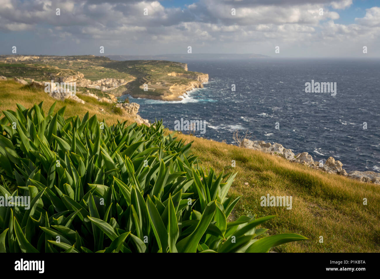 Landschaft, Blick auf Gozo Xlendi Bay, Malta, Mittelmeer, Winter. geringe Tiefenschärfe. Stockfoto