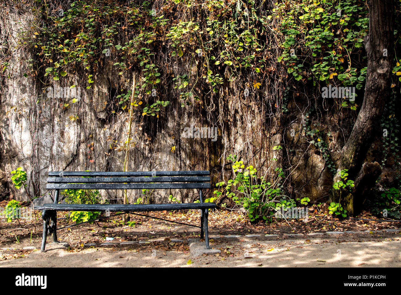 Eine Bank auf dem Weg zum Gipfel von Santa Luica Hügel in Santiago, Chile. Stockfoto