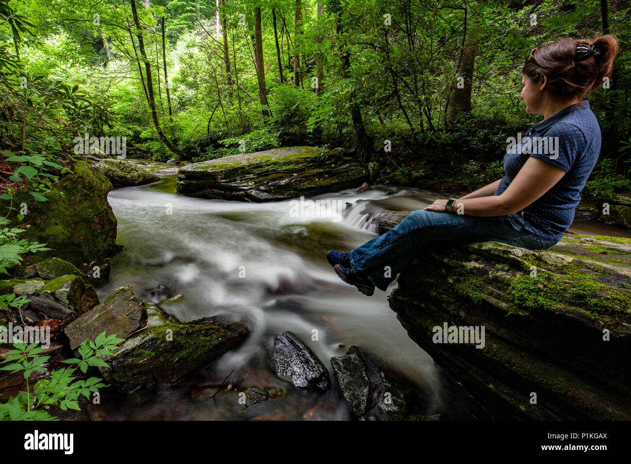 Frau sitzt auf der Boulder von Avery Creek - Pisgah National Forest, in der Nähe der Brevard, North Carolina, USA Stockfoto