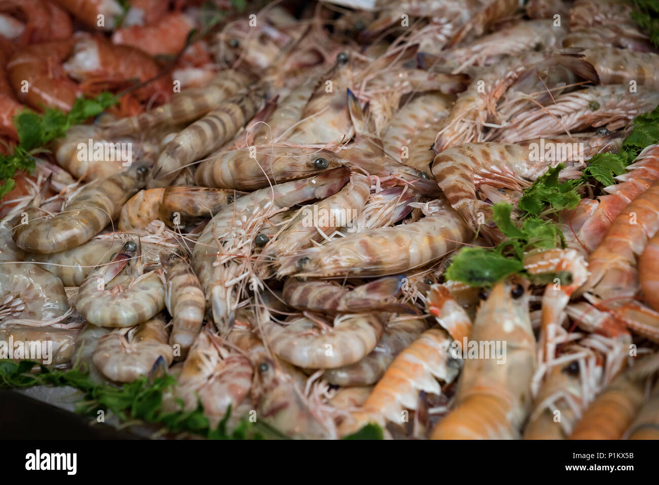 Hintergrund der Fische, Garnelen Muscheln in den Märkten von Mailand in Italien. Stockfoto