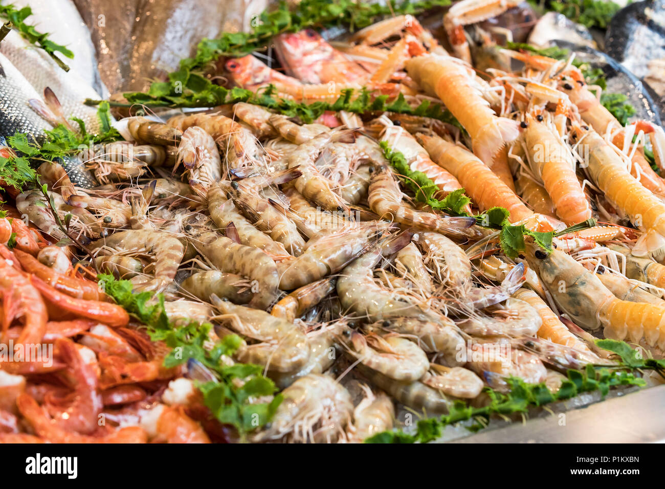 Hintergrund der Fische, Garnelen Muscheln in den Märkten von Mailand in Italien. Stockfoto