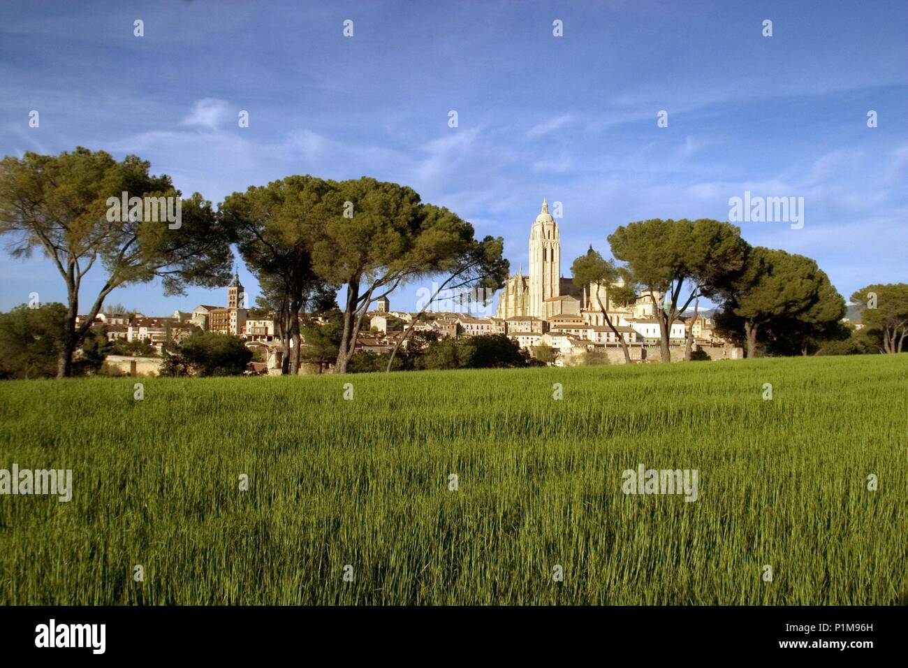 Segovia Kapital; Vista de la Catedral y Ciudad mittelalterlichen desde Campos de Cereales. Stockfoto