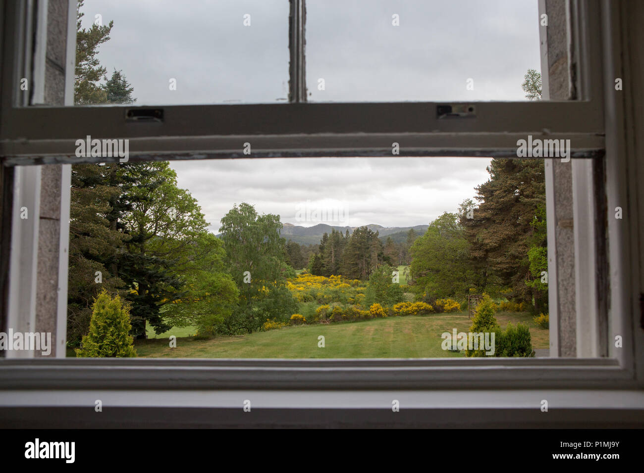 Blick von einer hölzernen Fenster in Richtung einer schottischen Garten. Stockfoto