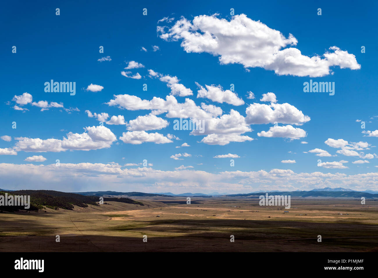 Ansicht West hoher Höhe Becken South Park Valley aus Kenosha Pass; Colorado; USA Stockfoto