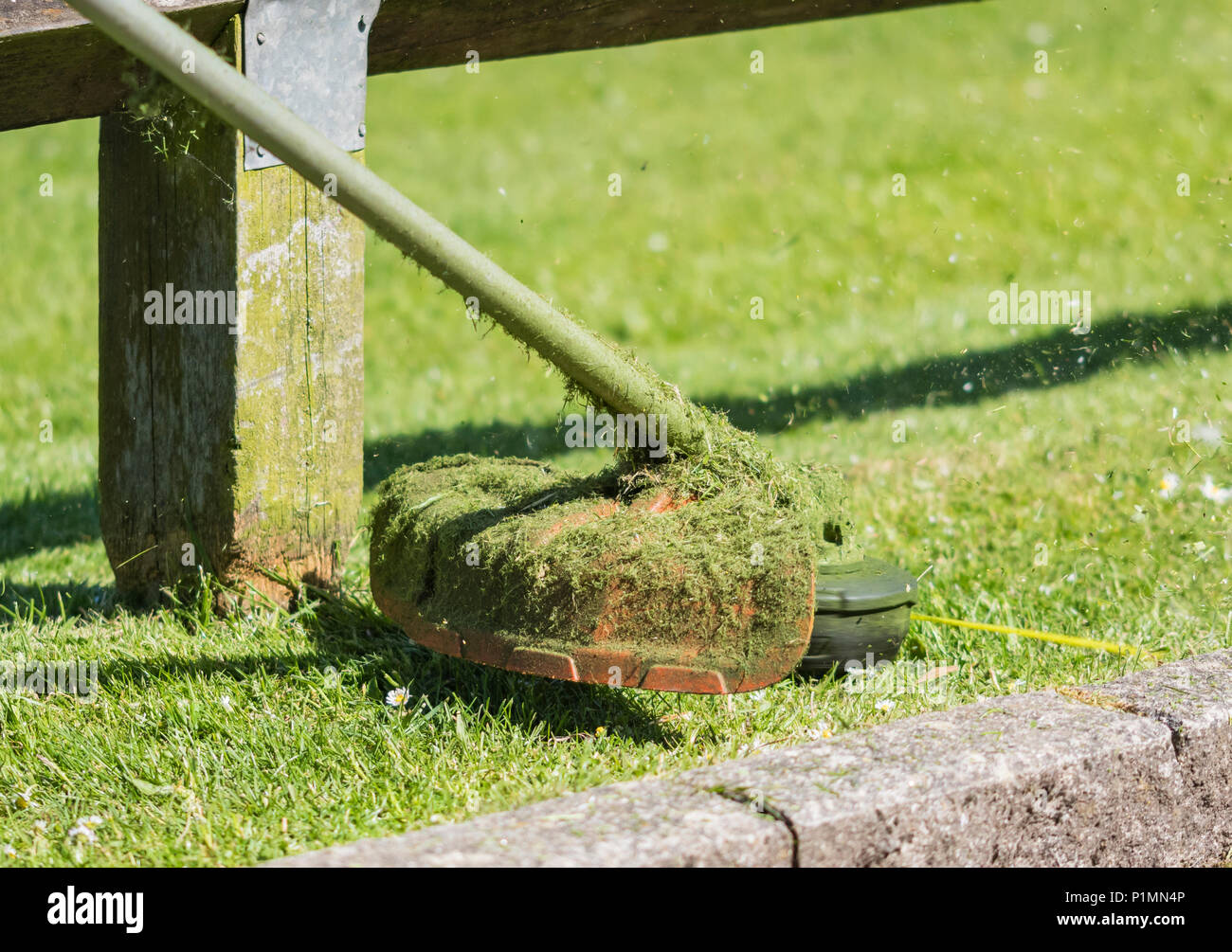 Nahaufnahme eines Gras strimmer/Rasentrimmer im späten Frühjahr in einem Park. Stockfoto